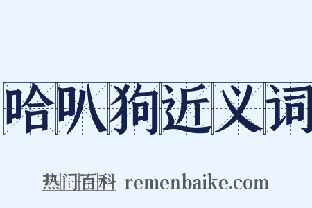 哈叭狗近义词是什么意思的图片